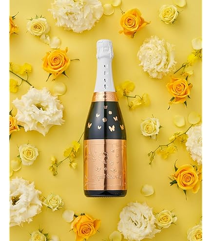 サンガール　オルパール　ブラン　ド　ブラン　ブリュット　2008 5本セット Amazon.co.jp: サン ガール オルパール ブラン ド ブラン ブリュット