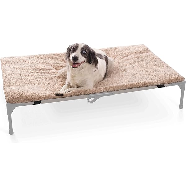cot style dog bed