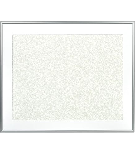 Amazon.co.jp: FUJICOLOR 額縁 A10N 半切 アルミ シルバー 17613