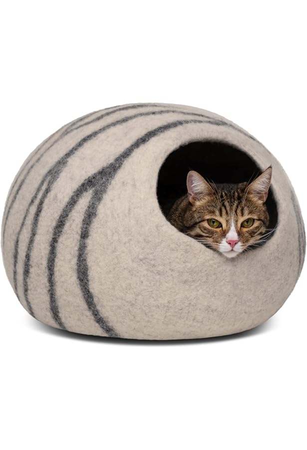 double cat cave