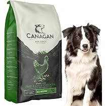 Amazon.co.jp: カナガン ドッグフード チキン （2kg） ドライフード 全