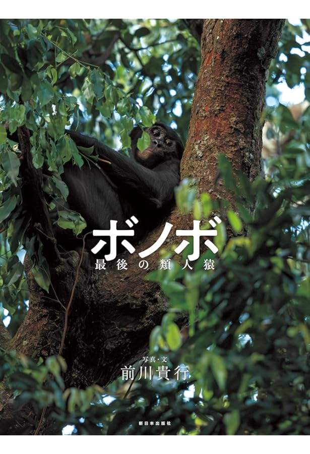 Amazon.co.jp: オランウータン──森のさとりびと : 前川貴行