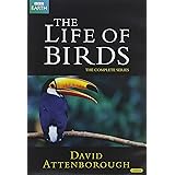 BBC The Life of Birds -鳥の世界- DVD-BOX (10エピソード, 489分) BBC EARTH ライフシリーズ [DVD] [Import] [PAL, 再生環境をご確認ください]