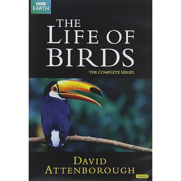 Amazon.co.jp: BBC ライフ・オブ・バーズ/鳥の世界 DVD-BOX : DVD 