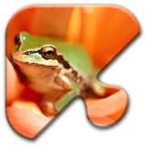 Jigsaw Puzzles Free Game - Chapter 15