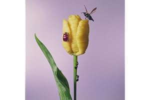 【Amazon.co.jp限定】おいしいパスタがあると聞いて - あいみょん (メガジャケ付) [Analog]