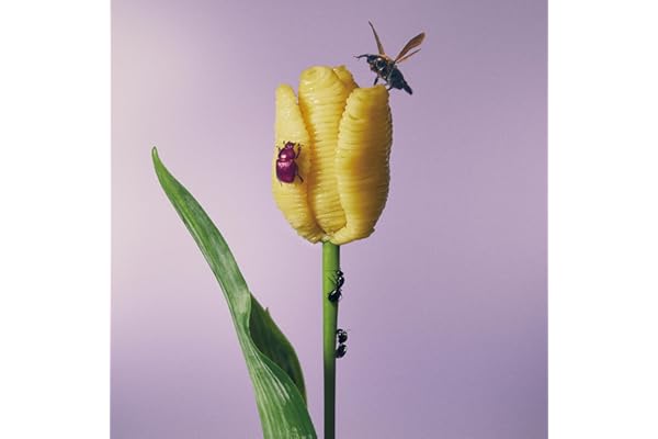 【Amazon.co.jp限定】おいしいパスタがあると聞いて - あいみょん (メガジャケ付) [Analog]