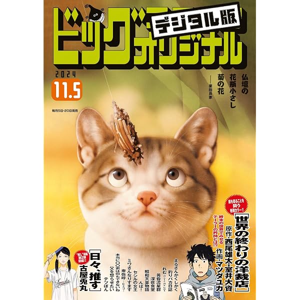 ビッグコミックオリジナル 2024年22号（2024年11月5日発売) [雑誌