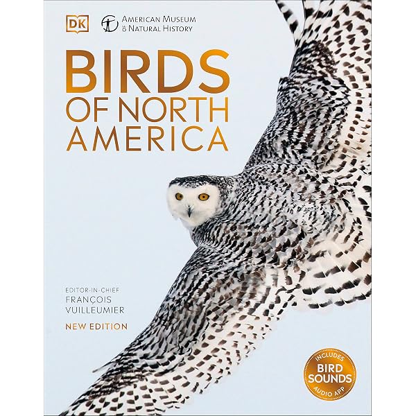 Birds of North America: Western Region : Alsop, Fred: Amazon.sg: Books