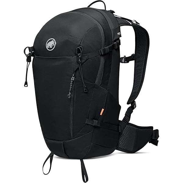 Amazon | [アークテリクス] ARCTERYX マンティス2ウエストパック
