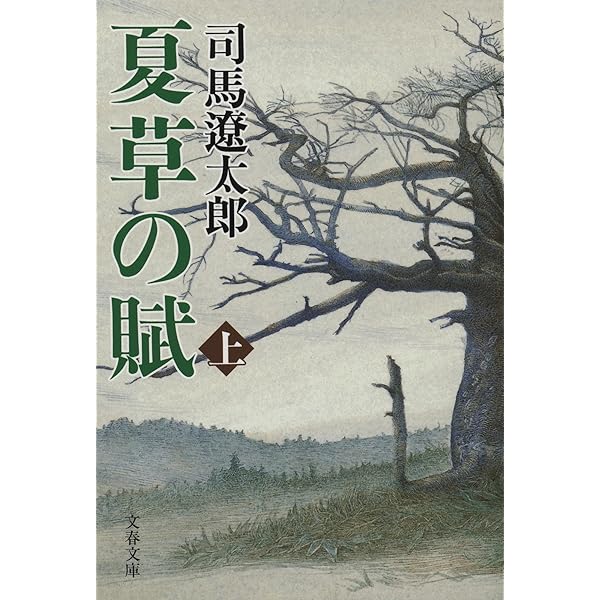 Amazon.co.jp: 街道をゆく 全43巻セット : 本