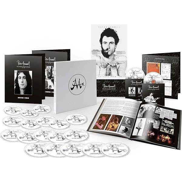 アナログLP○貴重な日本盤】ピーター・ハミル/フールズメイト VDGG アナログLP○貴重な日本盤】ピーター・ハミル/フールズメイト VDGG