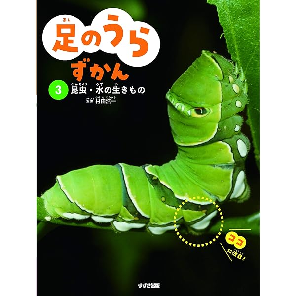足のうらずかん 2 両生類・は虫類・鳥類 足のうらずかん 2 両生類・は虫類・鳥類 | 村田浩一 |本 | 通販