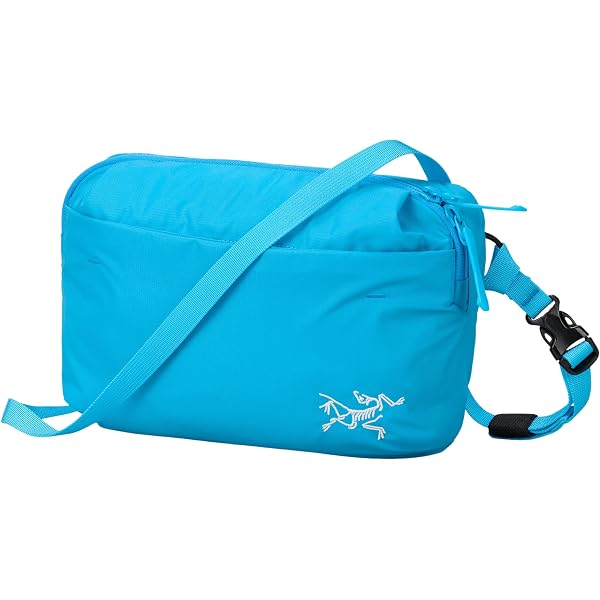 Amazon.co.jp: ARCTERYX(アークテリクス) インデックス10ギア
