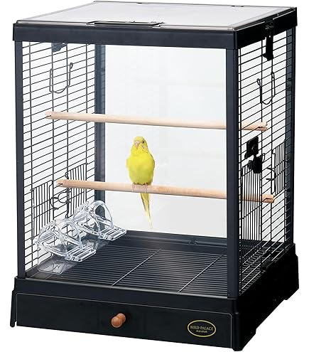 Amazon | Ruexue鳥かご 透明アクリル扉 ダブルロック設計 清掃が簡単