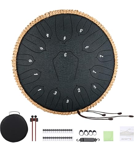 Amazon.co.jp: Ha-Drum 12インチ （十一音） スリットドラム