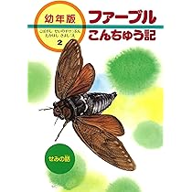 81hwQ6V5hXS._AC_UL210_SR210,