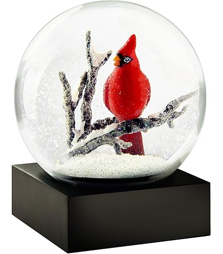 Amazon.co.jp: CoolSnowGlobes 星月夜スノードーム : おもちゃ
