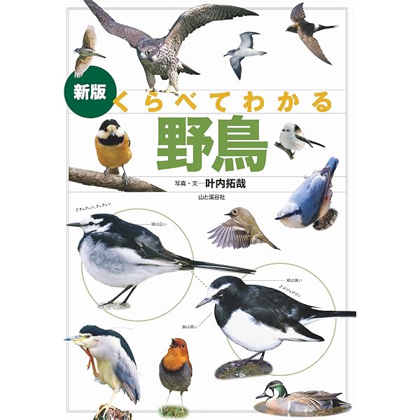 鳥の生態図鑑 (大自然のふしぎ) |本 | 通販 | Amazon 大自然のふしぎ鳥の生態図鑑学研