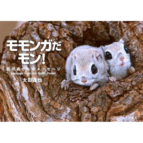 えぞももんがのきもち | 西尾 博之 |本 | 通販 | Amazon