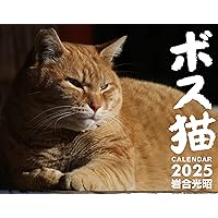 2025ほぼねこカレンダー ([カレンダー]) | RIKU |本 | 通販 | Amazon