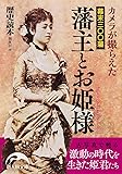 カメラが撮らえた 幕末三〇〇藩 藩主とお姫様 (新人物文庫)