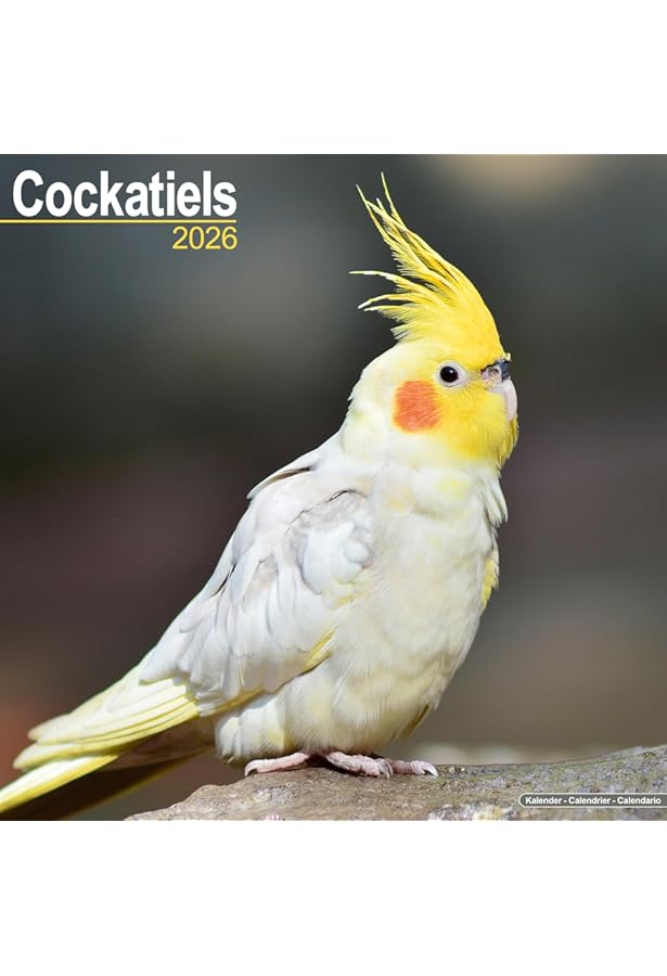 Cockatiels Calendar - 2019 Wall Calendars - Bird Calendars - Monthly - View #2