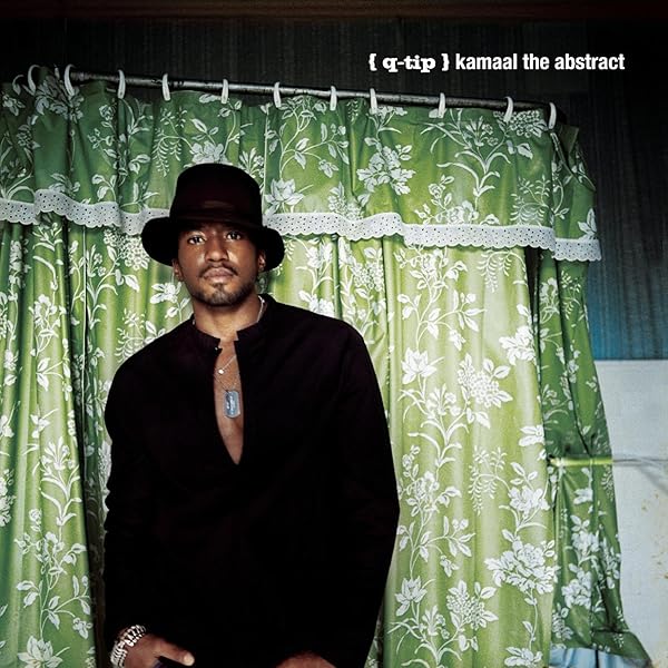 レア人気盤‼️選べるおまけ付‼️Q-Tip ‎The Renaissance 2LP Q-TIP - THE RENAISSANCE レコード - メルカリ