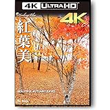 紅葉美 BEAUTIFUL AUTUMN LEAVES【HealingBlueヒーリングブルー】4K映像 3840×2160 pixel [Blu-ray]