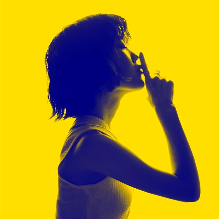 Rei CD 6枚セット Amazon.co.jp: シングルシート リア シート カウル For Ka-saki