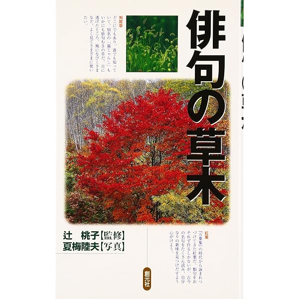 俳句の花 上巻 一~五月 | 青柳 志解樹, 夏梅 陸夫 |本 | 通販 | Amazon