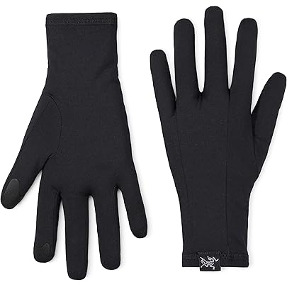 アークテリクス Arc’teryx GORE-TEX ブラック グローブ 手袋 楽天市場】【10％OFFクーポン対象】アークテリクス ARC'TERYX