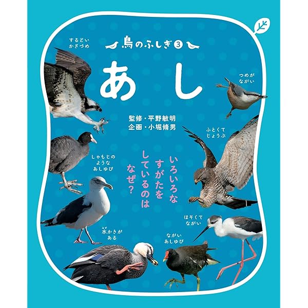 鳥のふしぎ1 くちばし: いろいろなすがたをしているのは なぜ