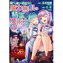 Amazon.co.jp: 穢れた血だと追放された魔力無限の精霊魔術士 (4