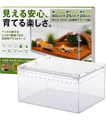 Amazon | 40cm30cm30cm爬虫ケージ 中間仕切り付き2匹のペットを隔離