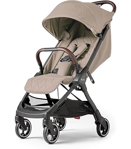 Amazon.co.jp: レカロ イージーライフ エリート 2 サイレントグレー