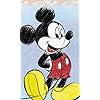 ミッキーマウス ディズニー - ミッキーマウス FVGA(480×800)壁紙 76038