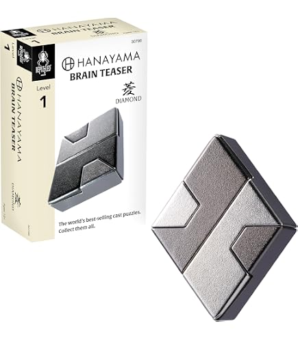 Amazon.co.jp: Hanayama キャストパズル プレミアムシリーズ チェス
