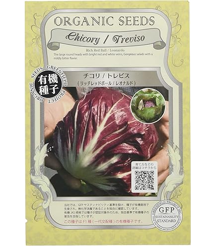国産トレビス　２４個 Amazon | トレビス（キャベツ型）種 40粒 | 野菜
