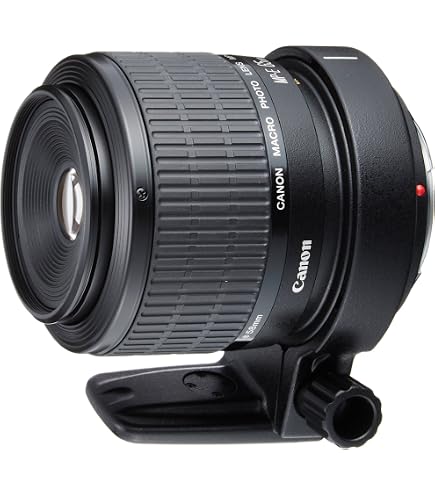 Amazon.co.jp: Canon 単焦点広角レンズ EF14mm F2.8 L II USM フル