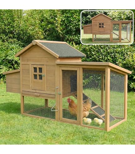 Amazon | 鶏用ケージ ペットケージ 大型 4～6羽用 飼育小屋 産卵室付き
