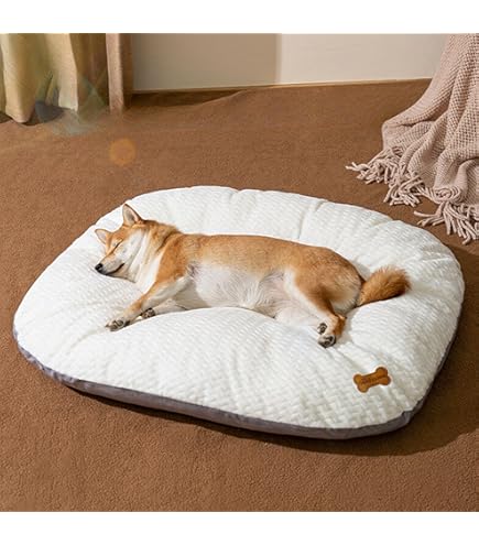 Amazon | 【ハナロロ】ペットベッド 専用ビーズクッション S