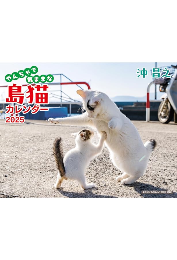 Amazon.co.jp: 2025必死すぎるネコカレンダー ([カレンダー