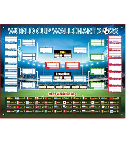 Amazon.co.jp: 新海誠 秒速5センチメートル ポスター : スポーツ