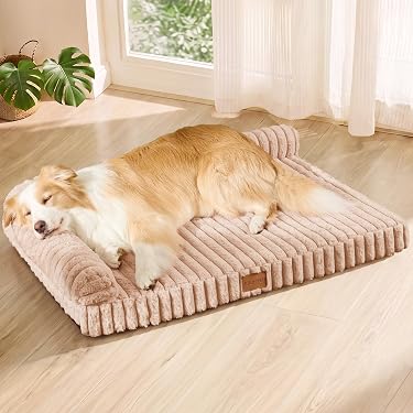 Amazon.co.jp 最新リリース: 犬用ベッド・クッション の新着ランキング