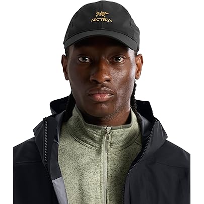 Amazon.co.jp: [アークテリクス] ARCTERYX カルバスキャップ