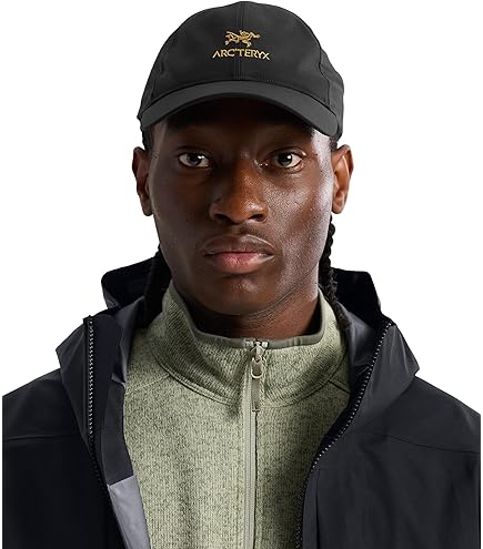 Amazon.co.jp: Arc'teryx バード ヘッド トーク Bird Head Toque