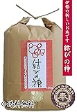 結びの神10kg　伊勢の新しいお米です ～ 伊勢神宮奉納米 ～ (白米)