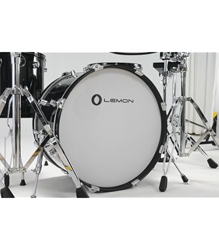 フリースタイルドラムVOD24 パンケーキベースドラム フリースタイルドラムVOD24 パンケーキベースドラム フリースタイル