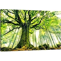風景画　絵画　アート　額縁付　ゴルフ　自然　緑　グリーン　美術品 楽天市場】手描き 油絵 絵画 油絵 額入り油彩 手描き 油絵
